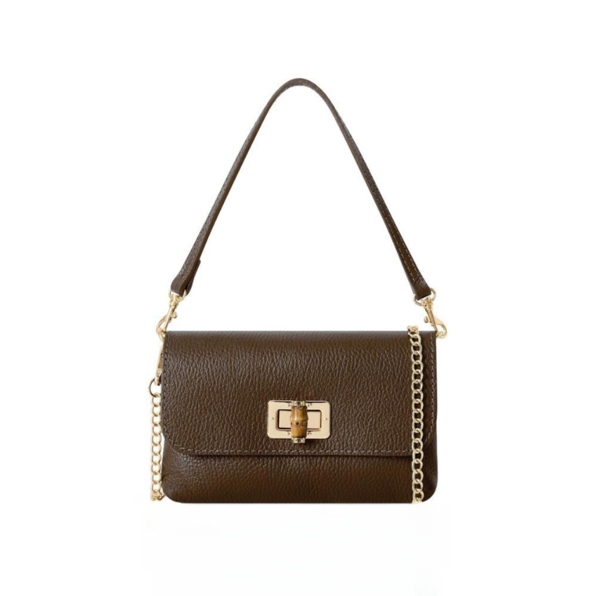 Brown handbag with a gold clasp on a white background